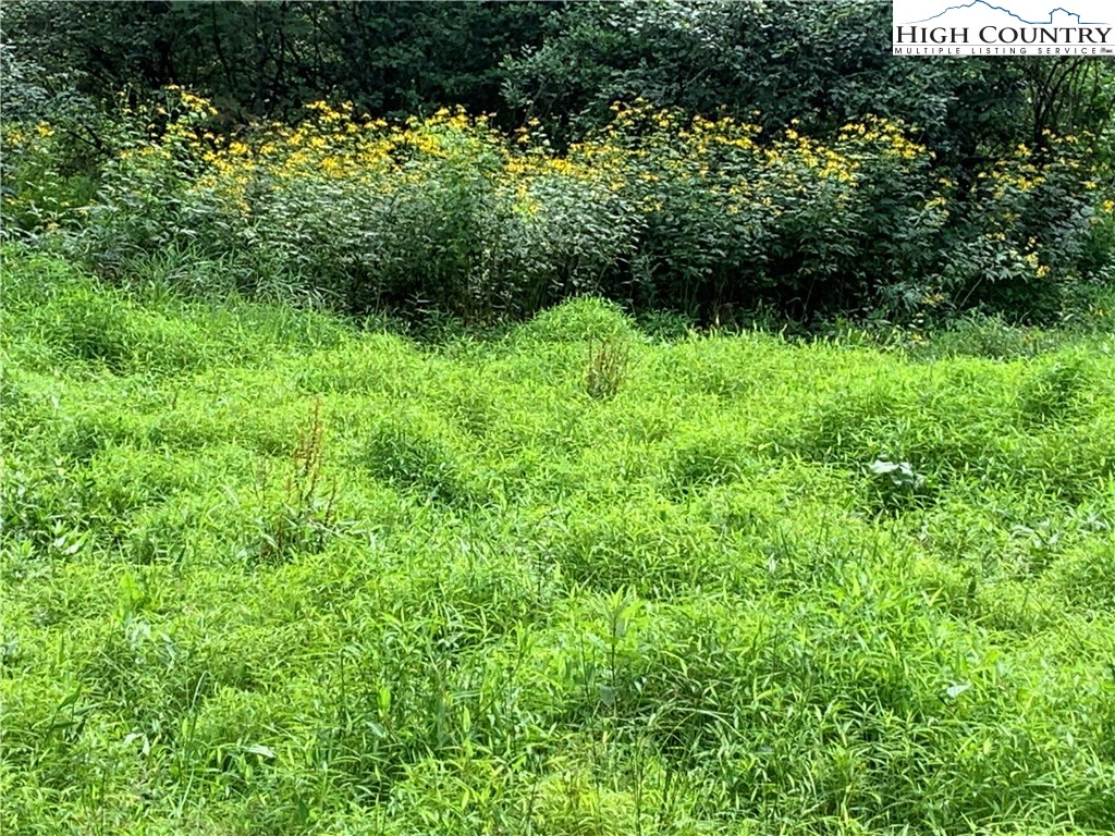 Lot 32 Waterstone Drive Boone, NC 28607 - Photo 10 of 37