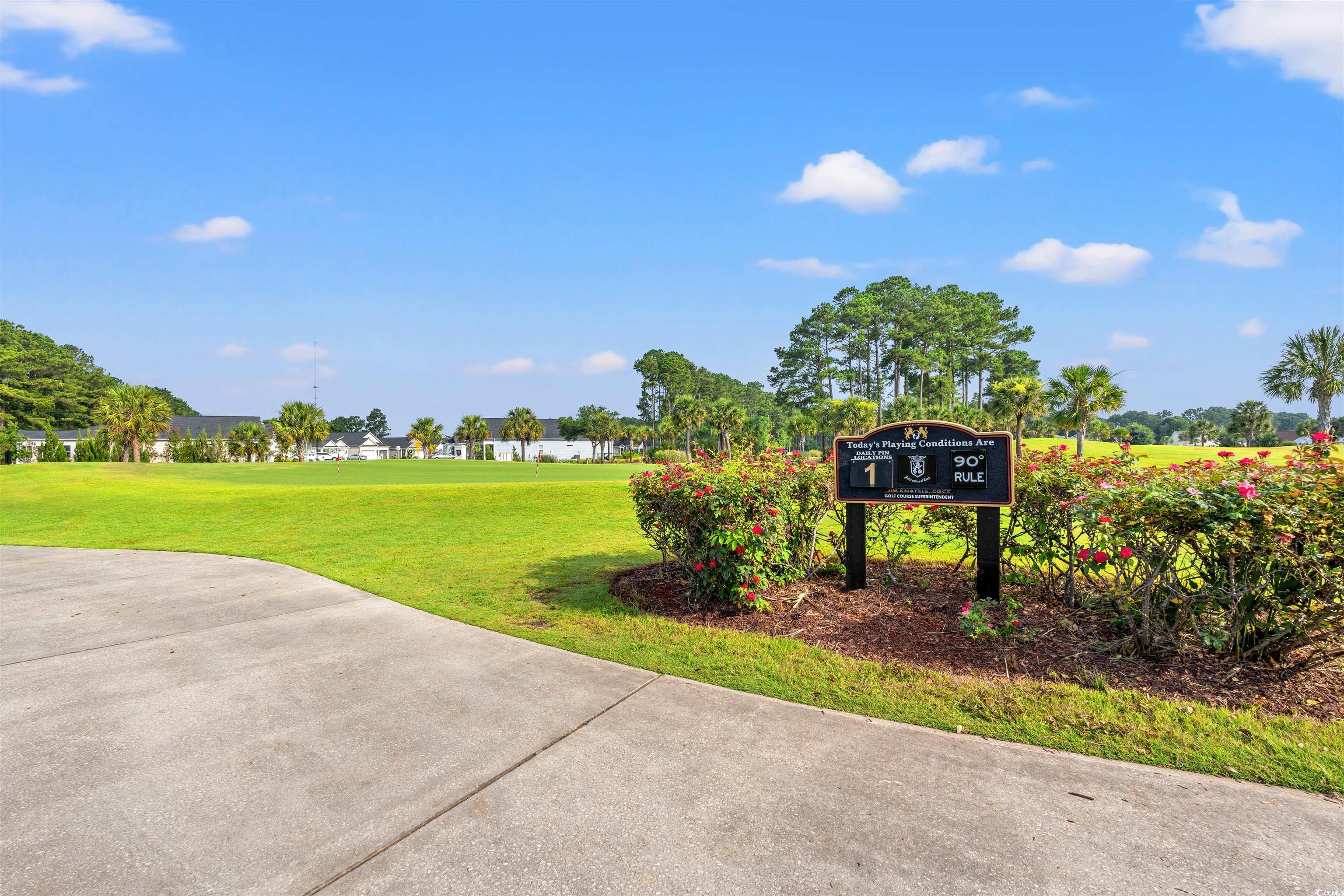 312 Caldera Court Murrells Inlet, SC 29576 - Photo 39 of 40