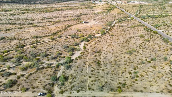 a view of a dry yard