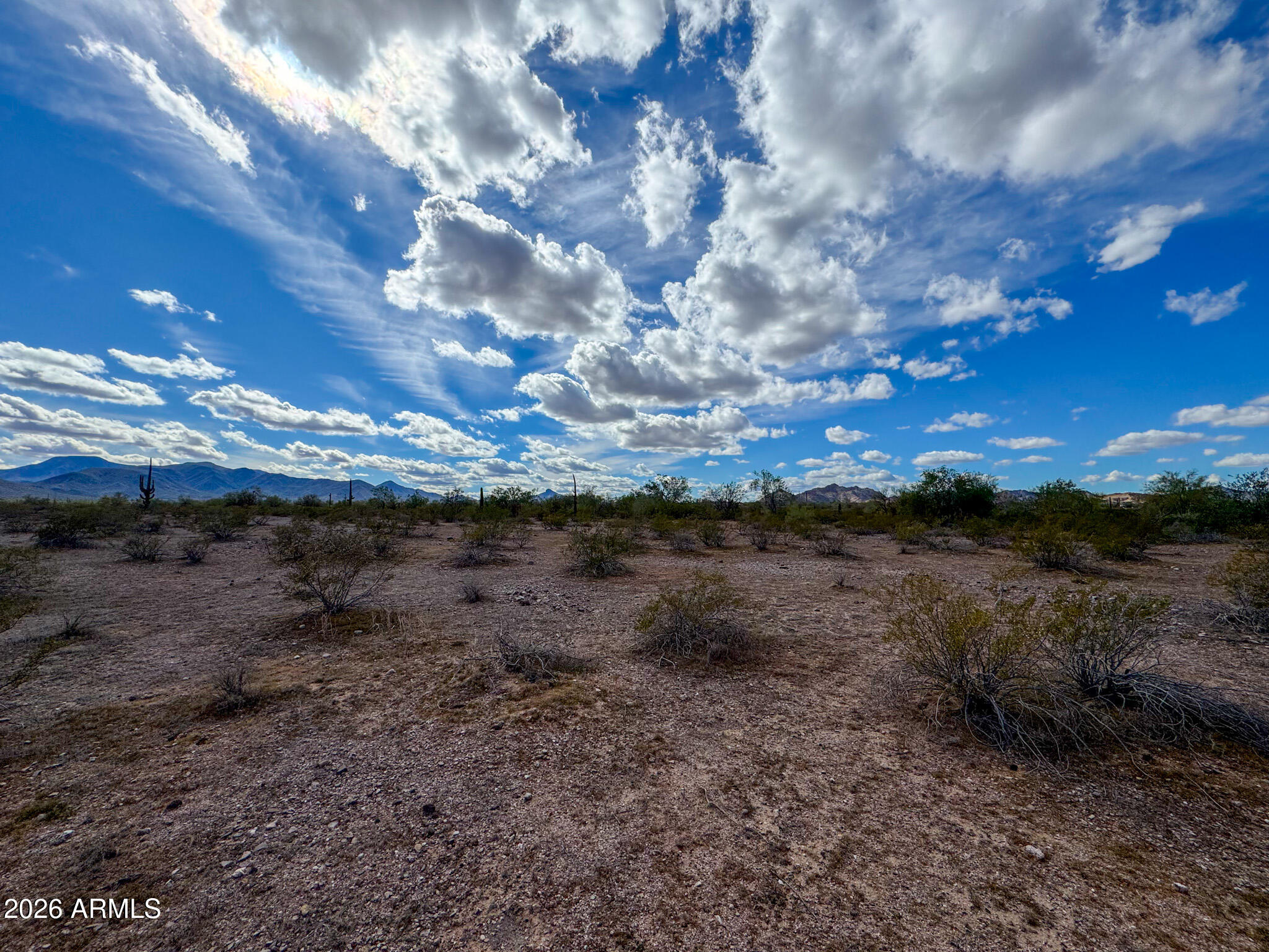 0 East Almendra Road Maricopa, AZ 85139 - Photo 18 of 21 a view of a dry yard with lots of trees