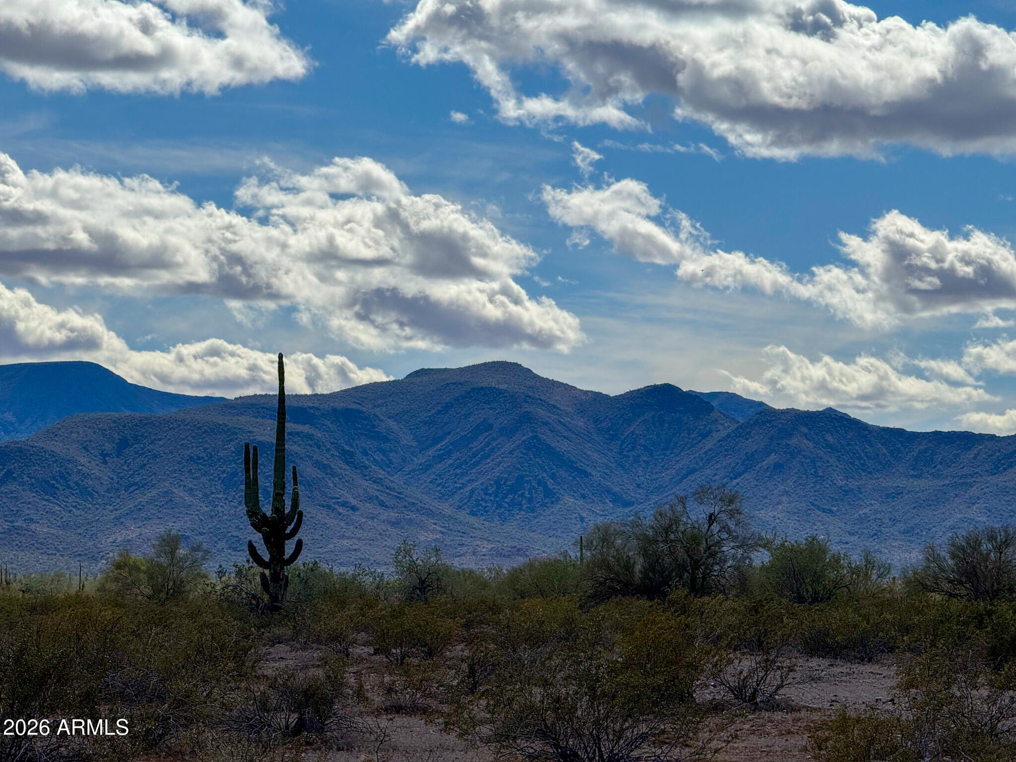 0 East Almendra Road Maricopa, AZ 85139 - Photo 19 of 21 a view of a bunch of trees and sky