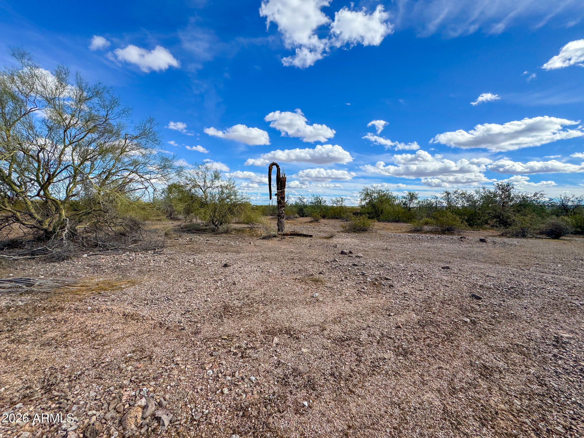 0 East Almendra Road Maricopa, AZ 85139 - Photo 21 of 21 a view of a big yard with large trees