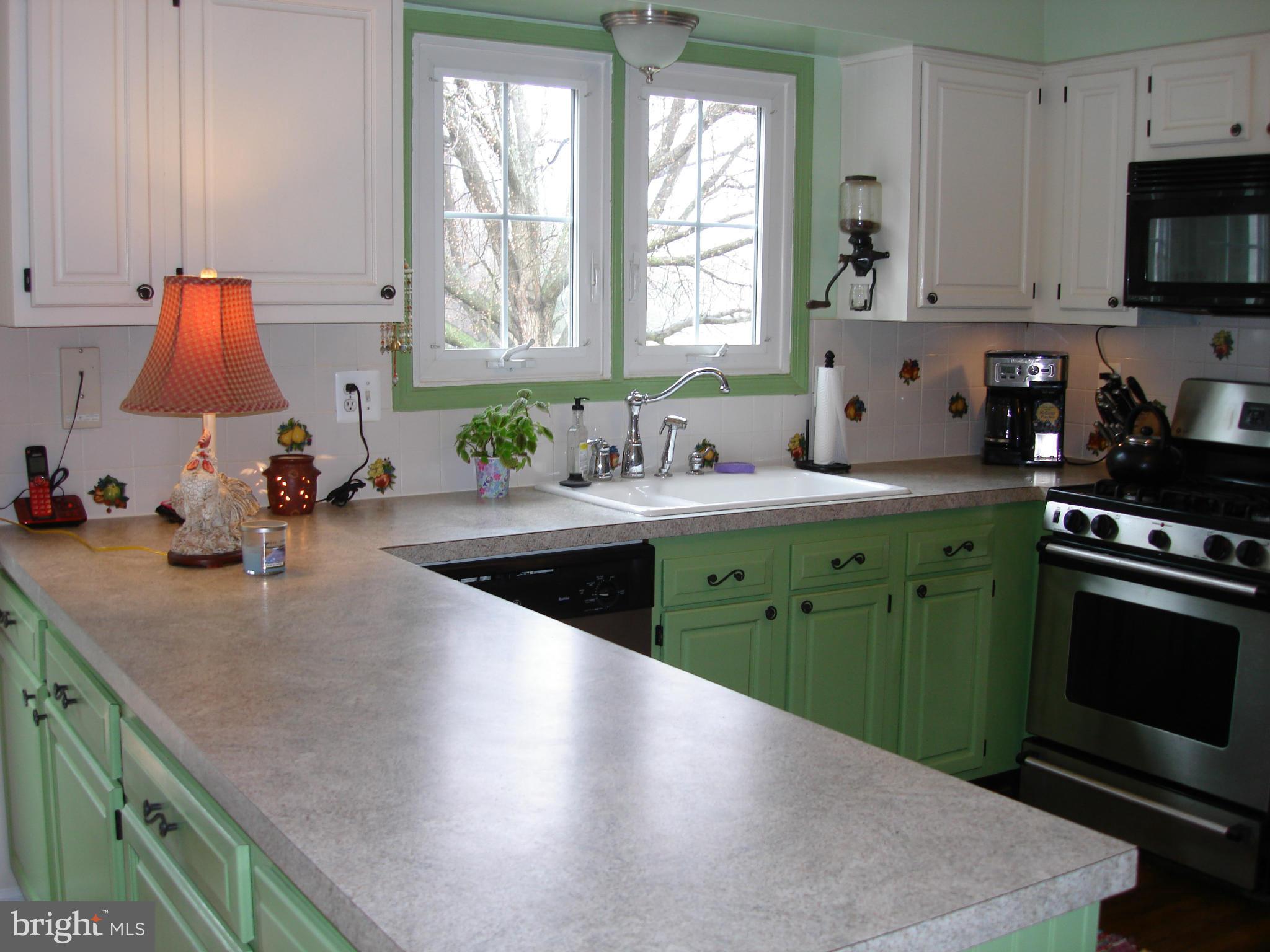 13800 Turtle Court Gainesville, VA 20155 - Photo 16 of 28 Kitchen