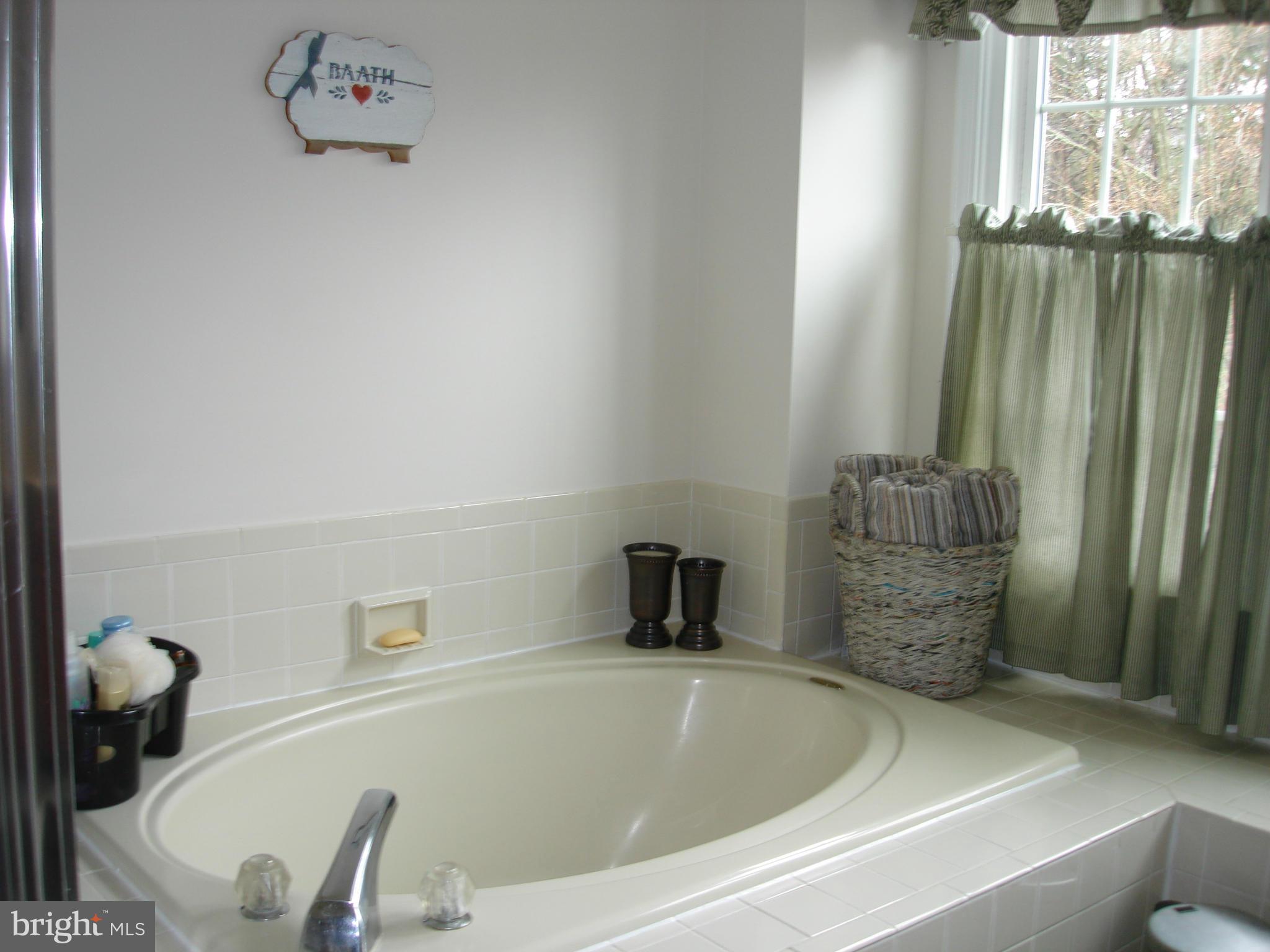 13800 Turtle Court Gainesville, VA 20155 - Photo 27 of 28 Bath (Master)