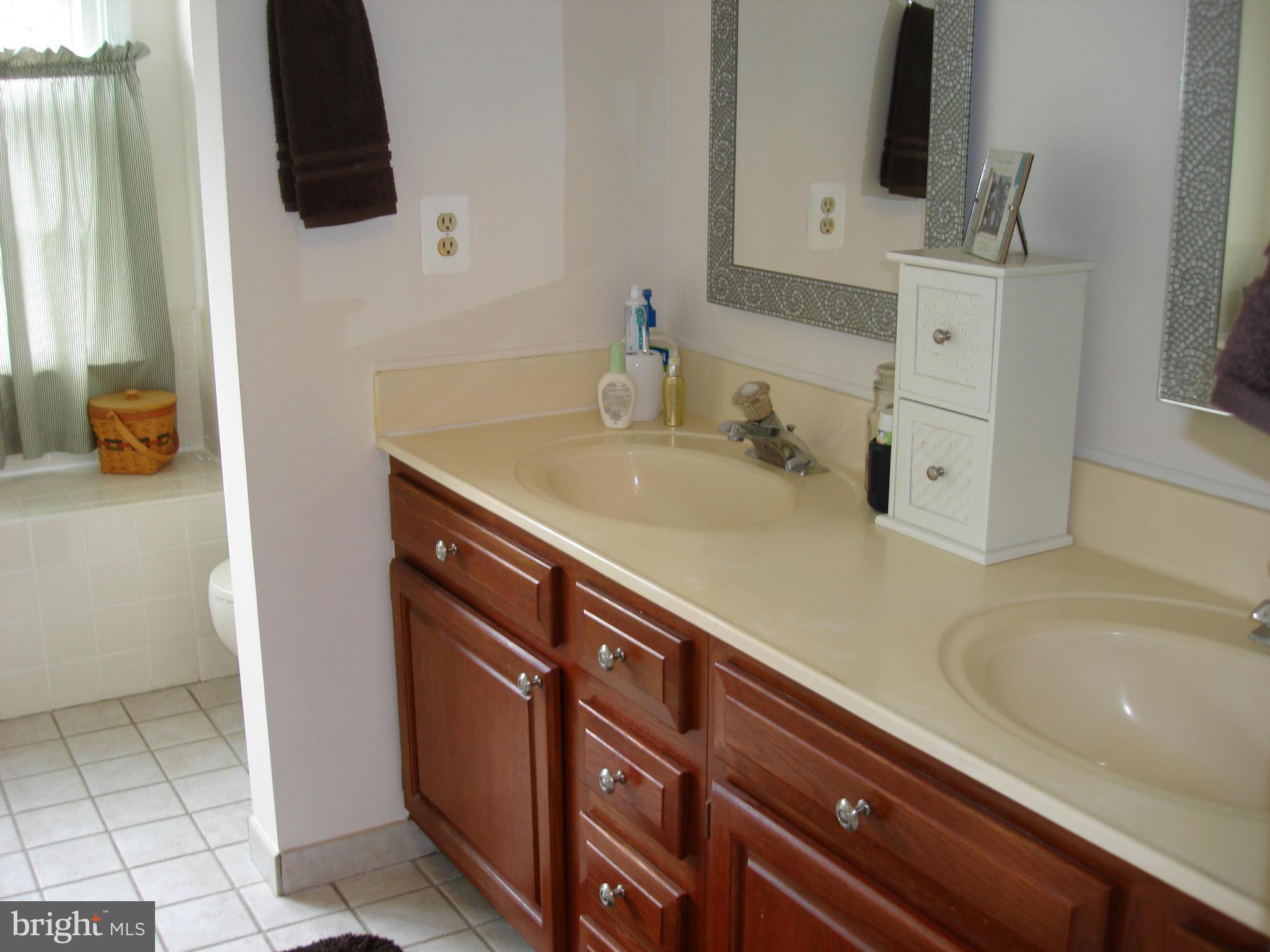 13800 Turtle Court Gainesville, VA 20155 - Photo 28 of 28 Bath (Master)