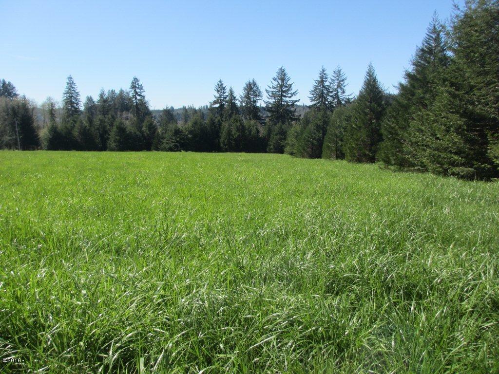 1230 Moonshine Park Road Logsden, OR 97357 - Photo 25 of 34 pasture land