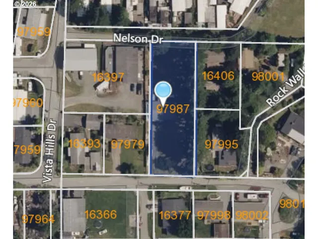 a view of yard with green space