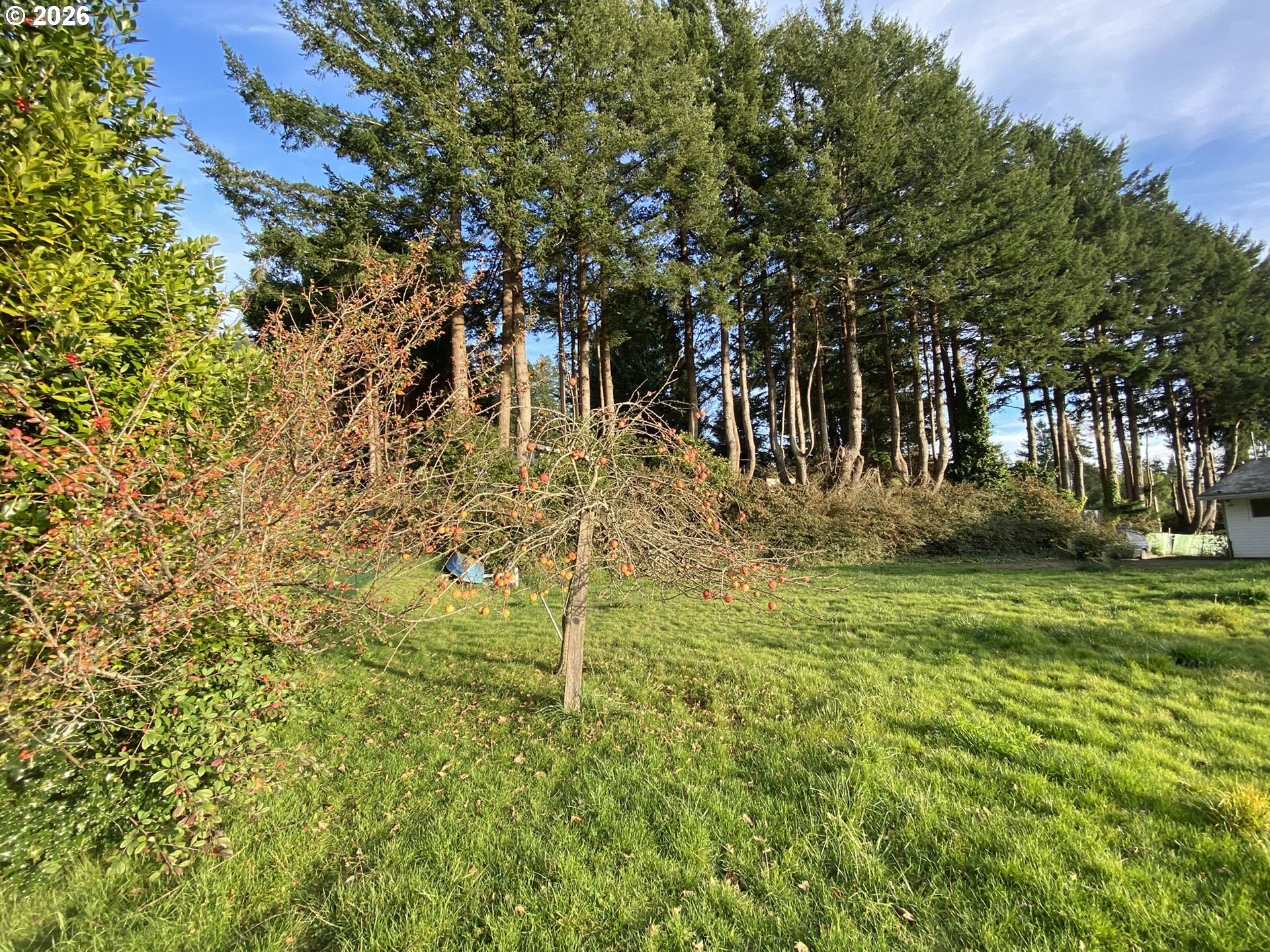 97987 Court Street Brookings, OR 97415 - Photo 33 of 36 Yard