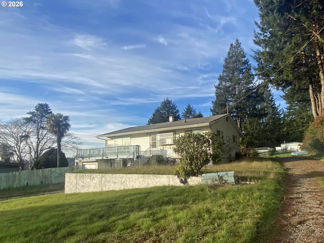 a view of a yard with plants