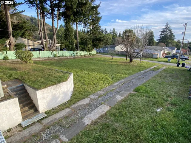 a view of a park with large trees