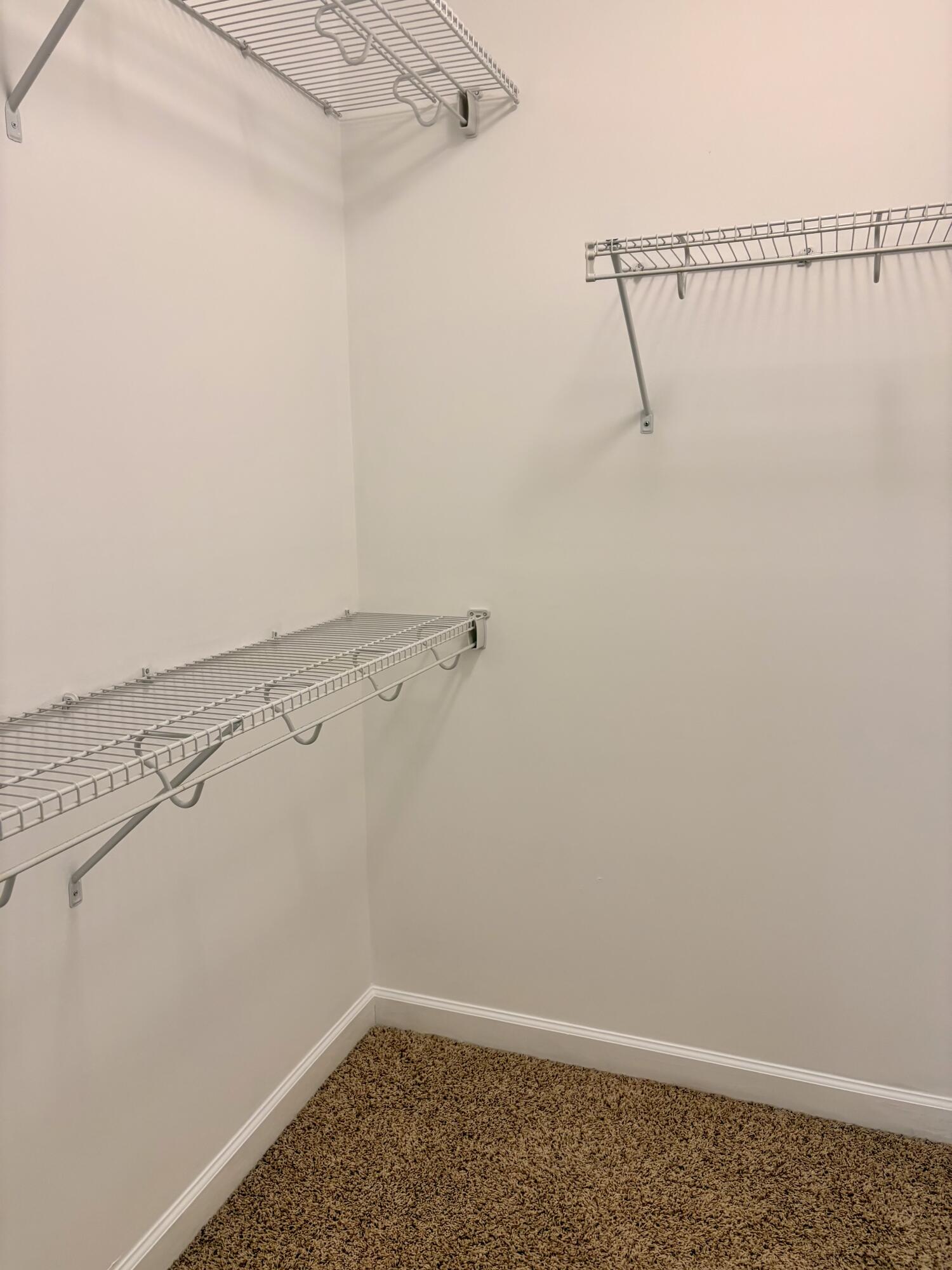 375 Connor Circle Evans, GA 30809 - Photo 19 of 32 primary closet