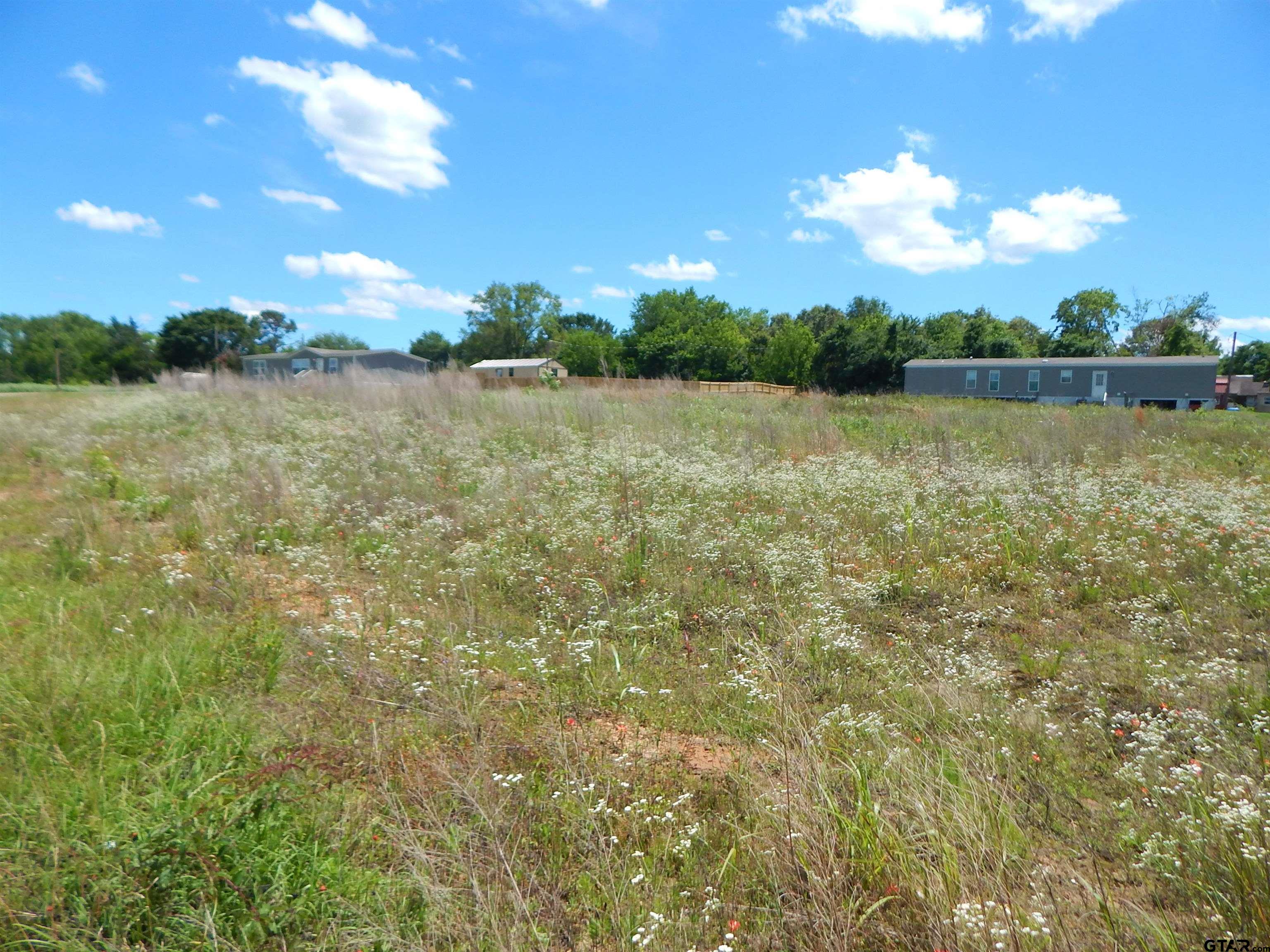 Tbd Tbd Road Gilmer, TX 75644 - Photo 7 of 7