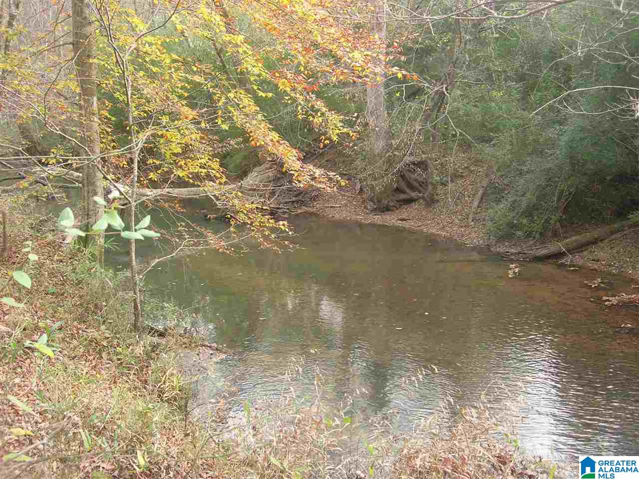 2303 Murphrees Valley Road Springville, AL 35146 - Photo 5 of 40 Gallery Image 5