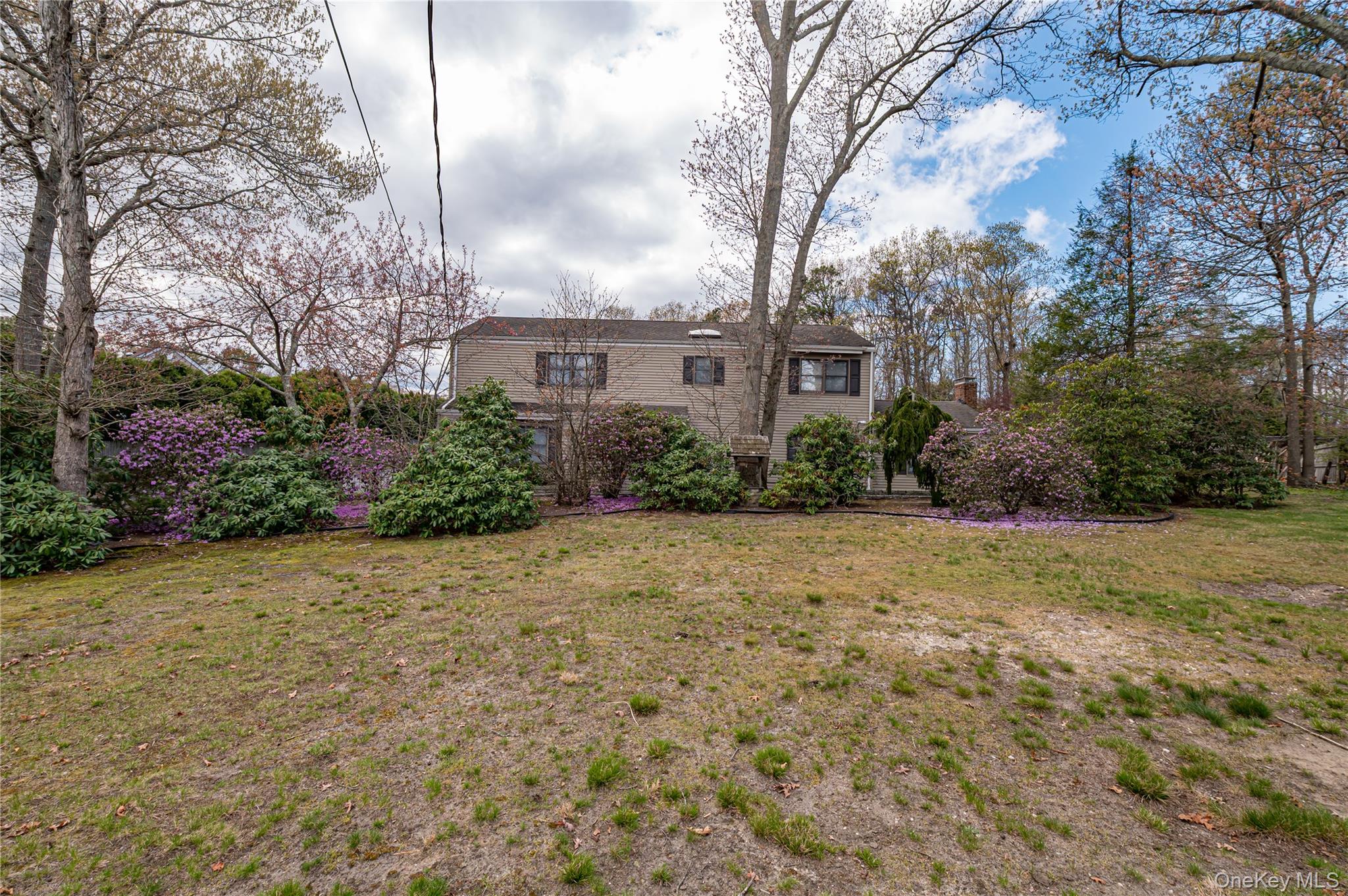114 Randall Road Ridge, NY 11961 - Photo 38 of 48 a view of a large garden with plants and large trees