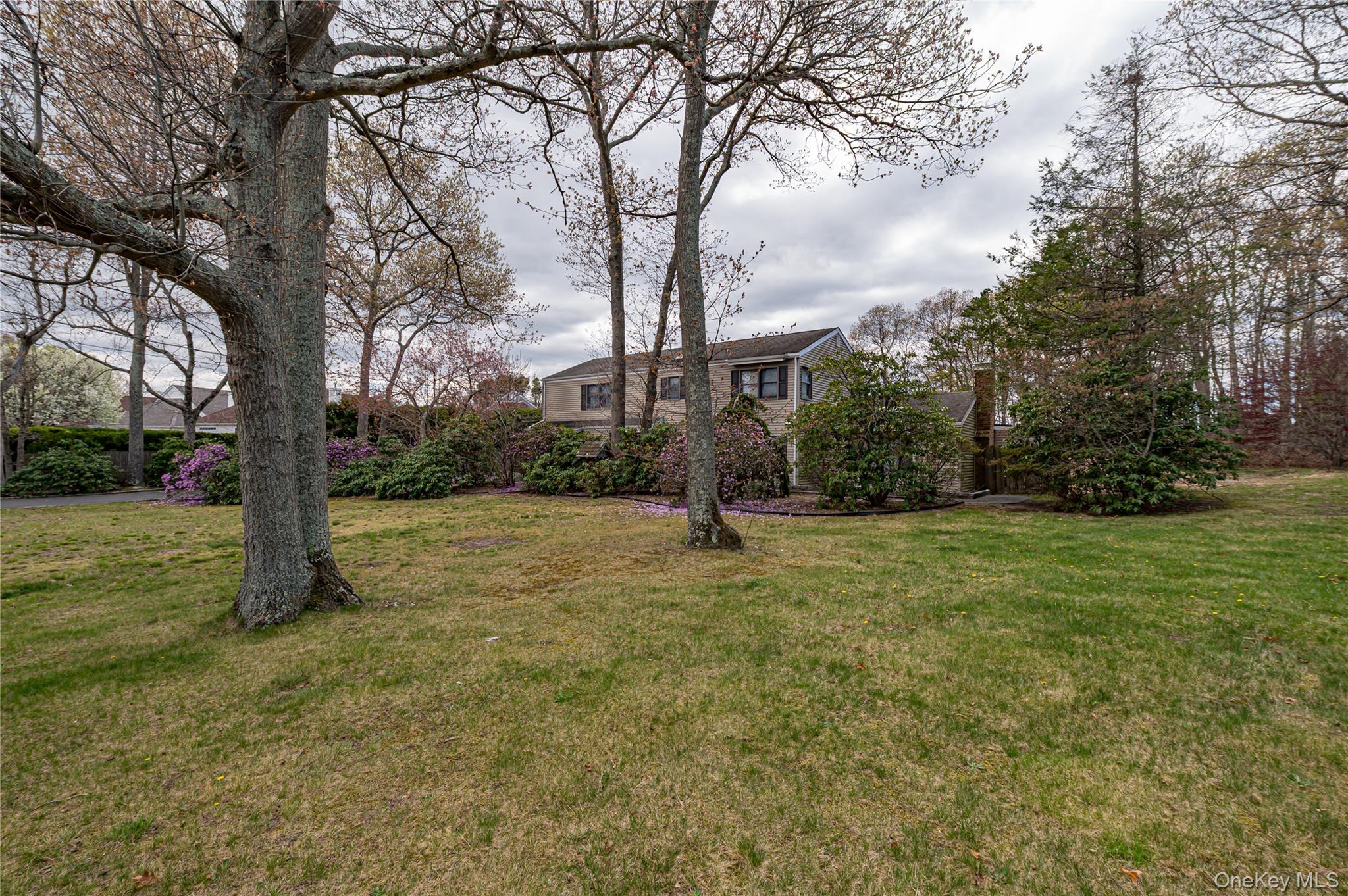 114 Randall Road Ridge, NY 11961 - Photo 39 of 48 a backyard of a house with lots of green space