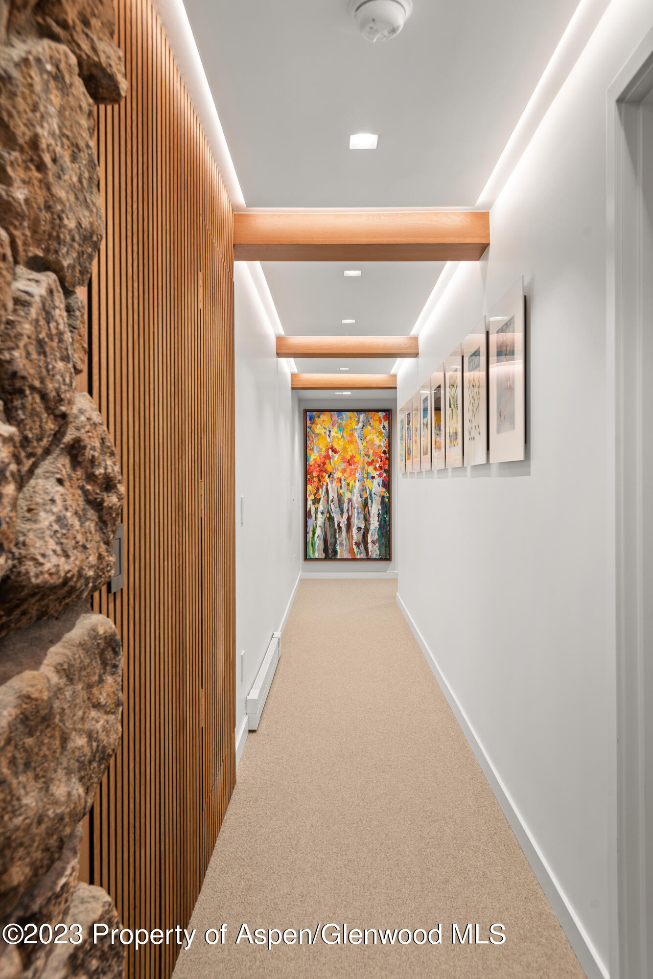 164 Eastwood Road Aspen, CO 81611 - Photo 21 of 42 a view of entryway