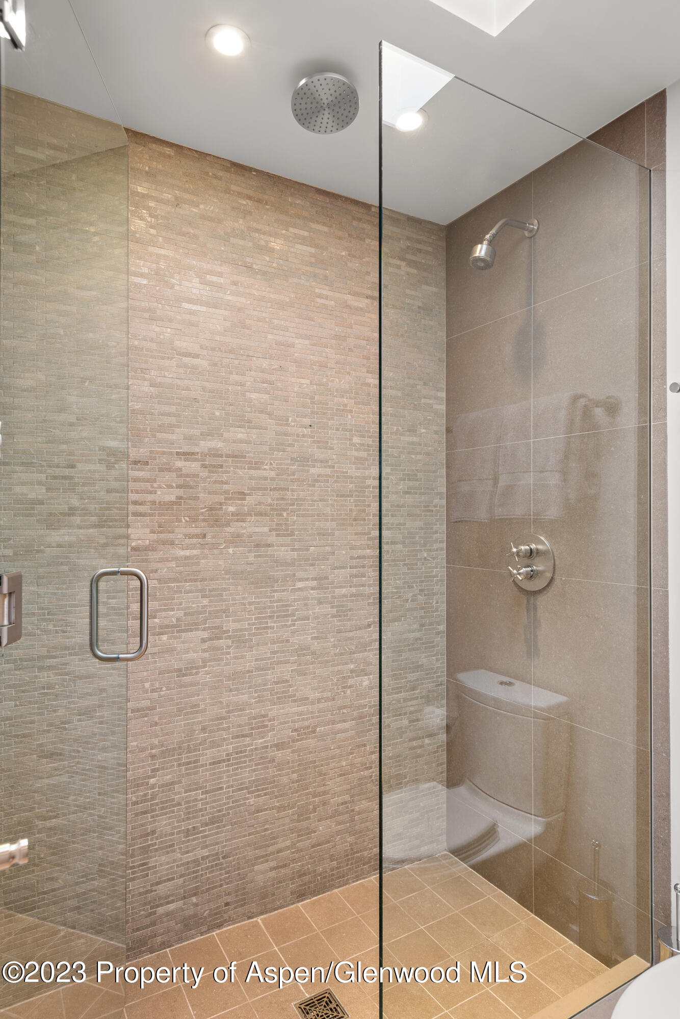 164 Eastwood Road Aspen, CO 81611 - Photo 25 of 42 a bathroom with a shower