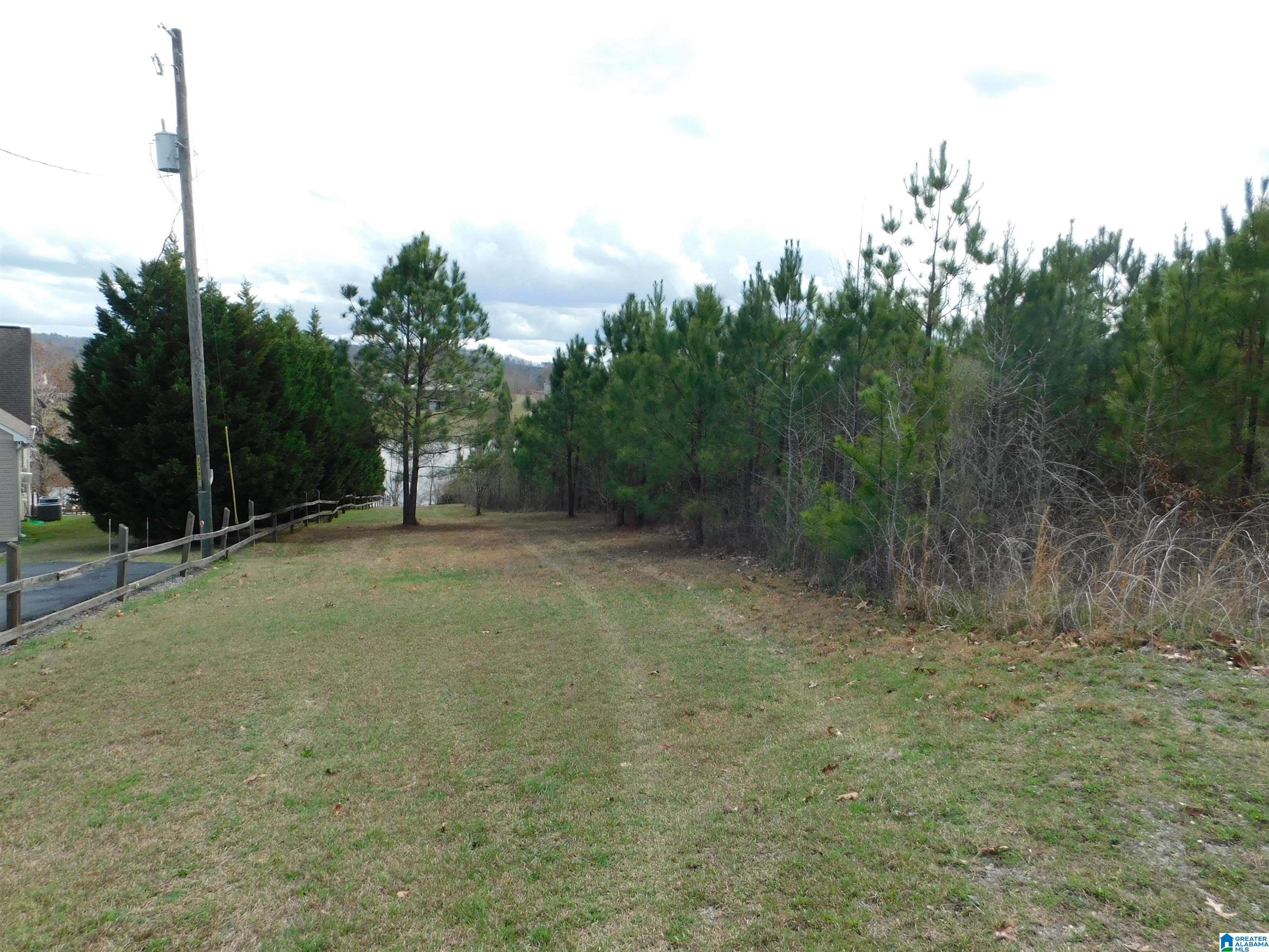 0 Lock 1 Road, Unit 2 Ashville, AL 35953 - Photo 8 of 13