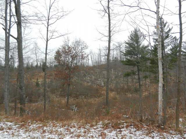 30-acres Blue Lake Road Minocqua, WI 54548 - Photo 3 of 5 Gallery Image 3