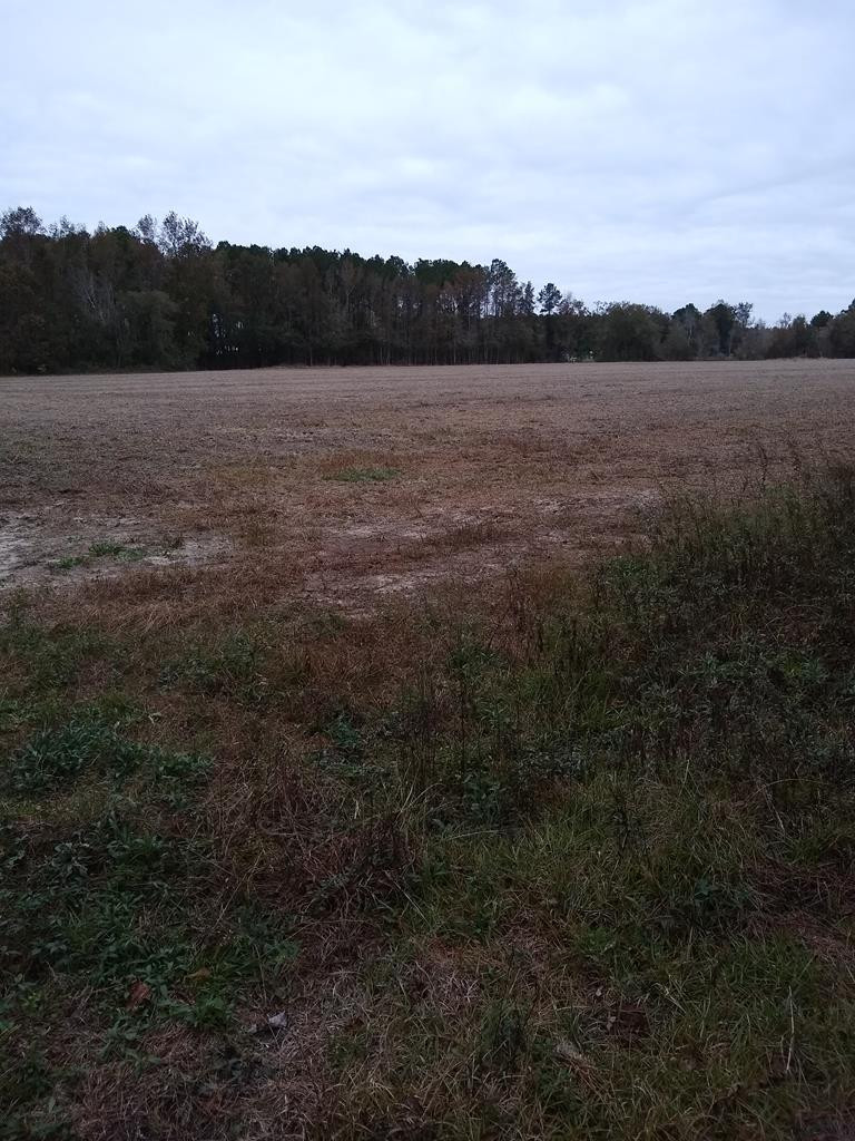 Antioch Road Santee, SC 29142 - Photo 1 of 6 Main View