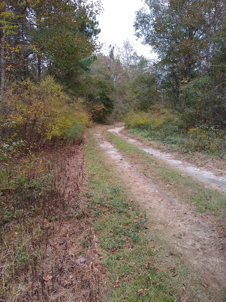 Antioch Road Santee, SC 29142 - Photo 4 of 6 Photo 4
