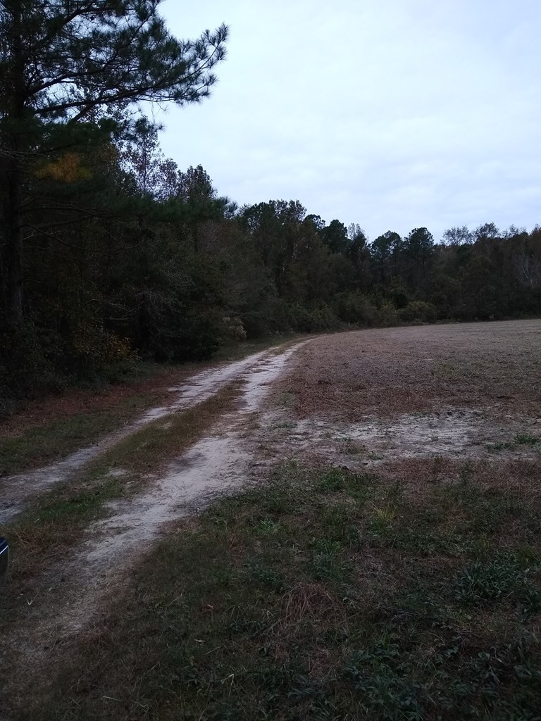 Antioch Road Santee, SC 29142 - Photo 5 of 6 Photo 5