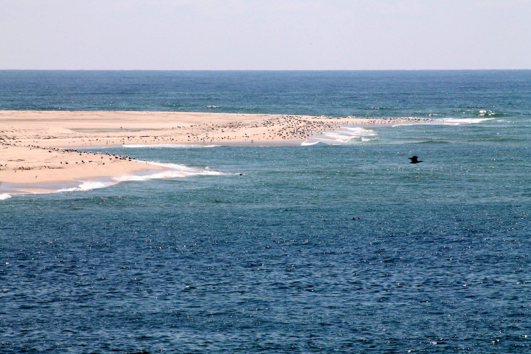 50 Katie Ford Road Chatham, MA 02633 - Photo 27 of 29 Nantucket Sound