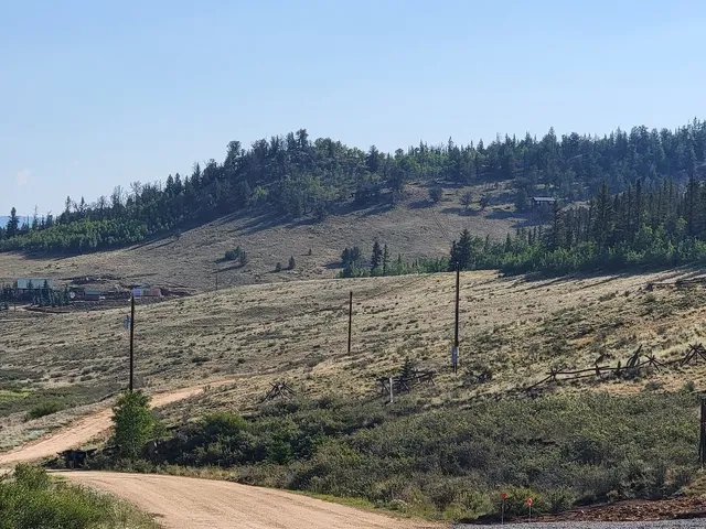 a view of a dry yard with trees in the background