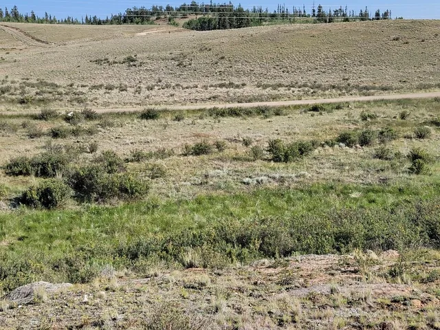 a view of an ocean beach