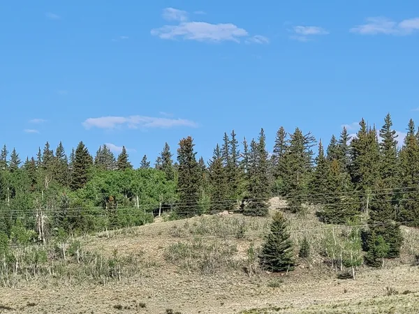 a view of a beach with a city view
