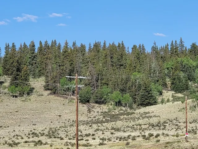 a street view with trees in the background