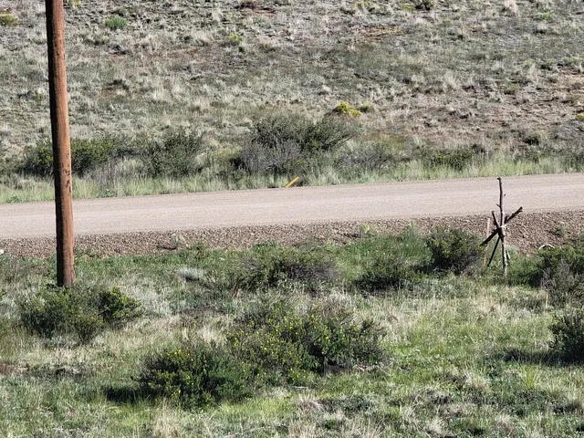 a view of a field of grass and trees