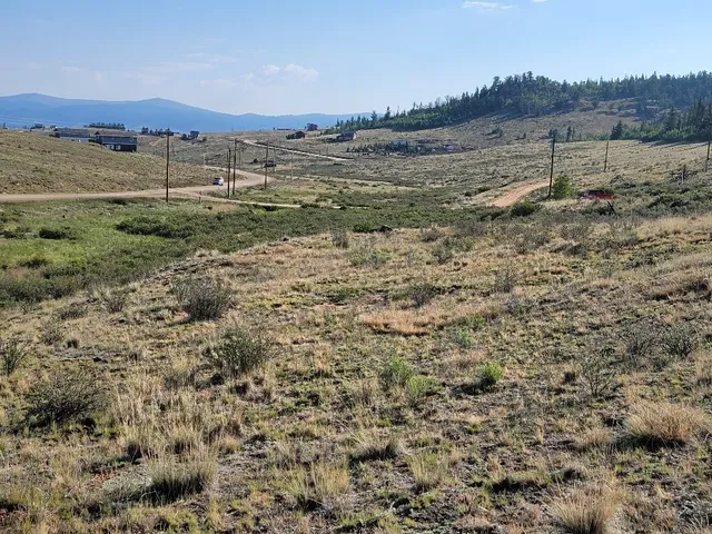 a view of a field with an ocean and trees