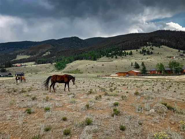 a view of a backyard with a sink