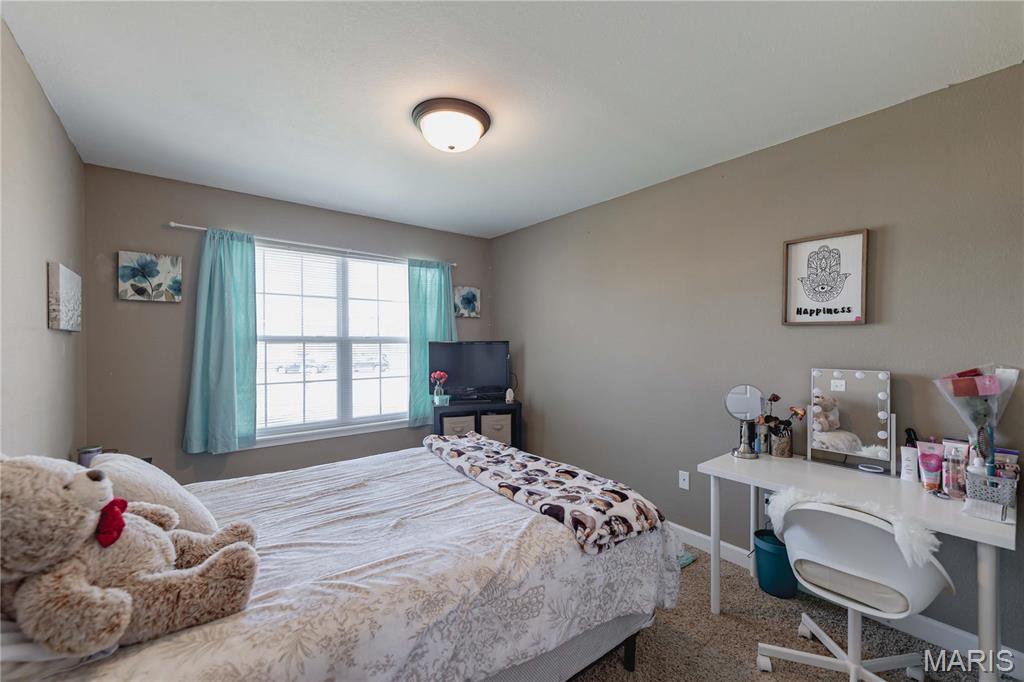 290 Shadowbrooke Troy, IL 62294 - Photo 21 of 53