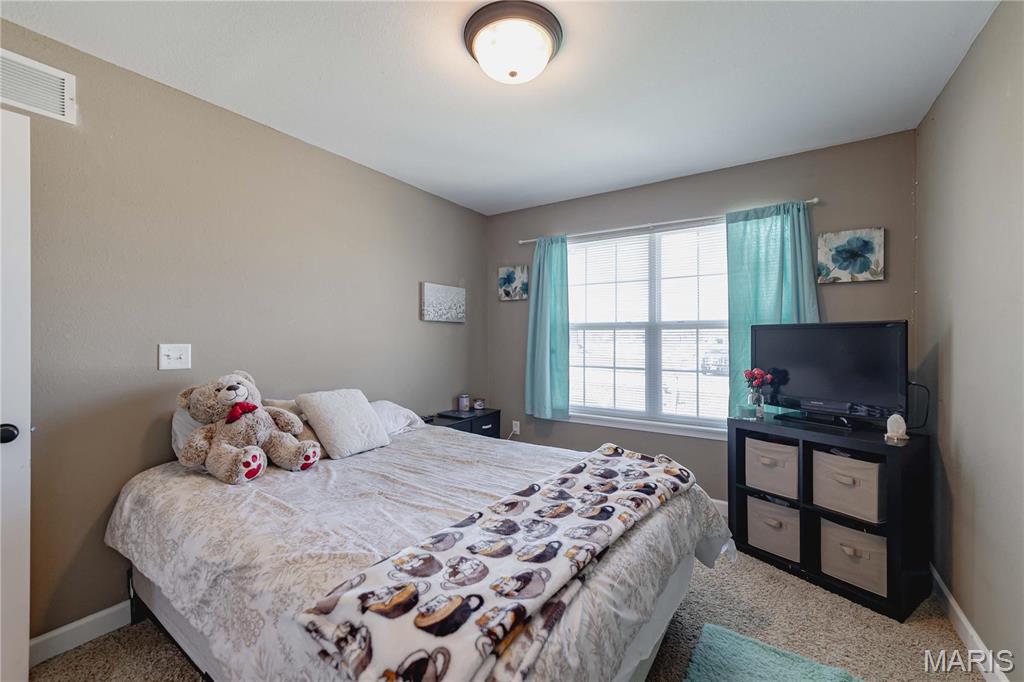 290 Shadowbrooke Troy, IL 62294 - Photo 22 of 53