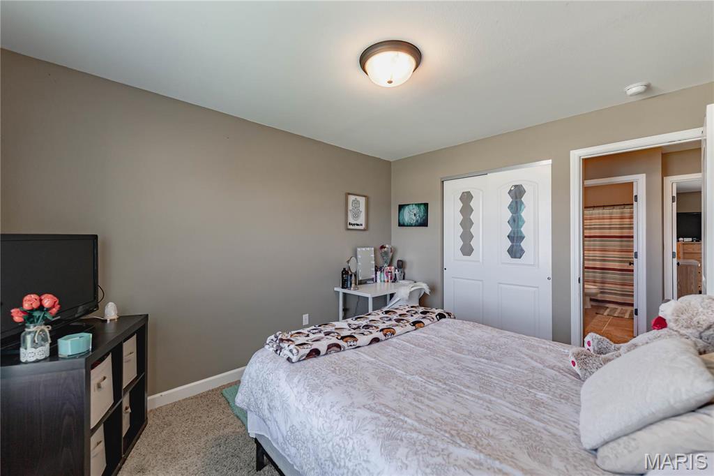 290 Shadowbrooke Troy, IL 62294 - Photo 24 of 53