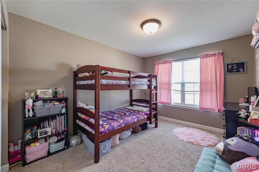 290 Shadowbrooke Troy, IL 62294 - Photo 26 of 53