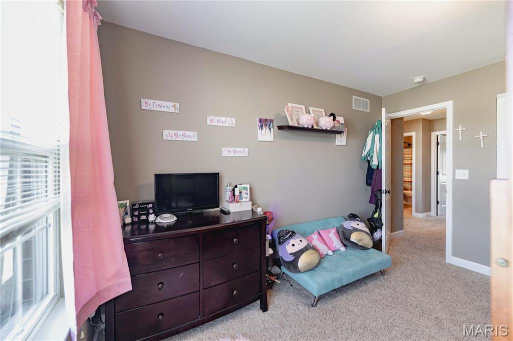 290 Shadowbrooke Troy, IL 62294 - Photo 28 of 53