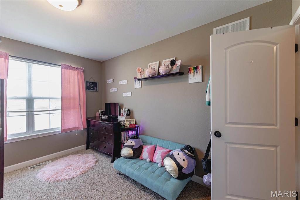 290 Shadowbrooke Troy, IL 62294 - Photo 29 of 53