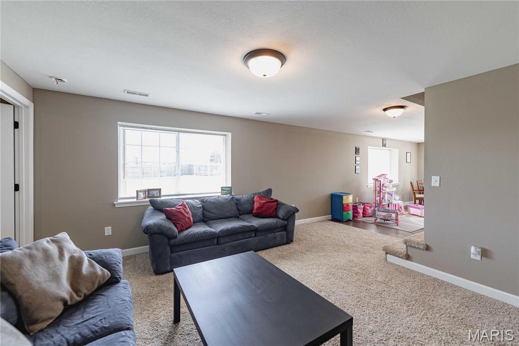 290 Shadowbrooke Troy, IL 62294 - Photo 32 of 53