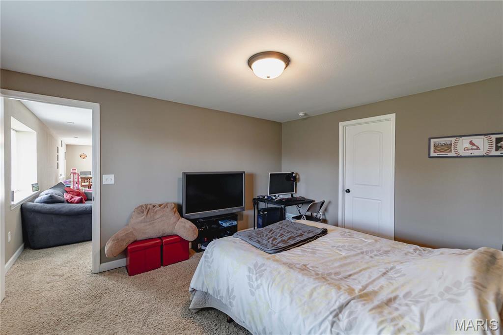 290 Shadowbrooke Troy, IL 62294 - Photo 39 of 53