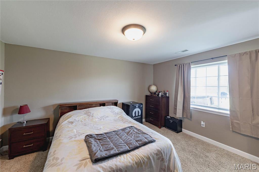 290 Shadowbrooke Troy, IL 62294 - Photo 41 of 53