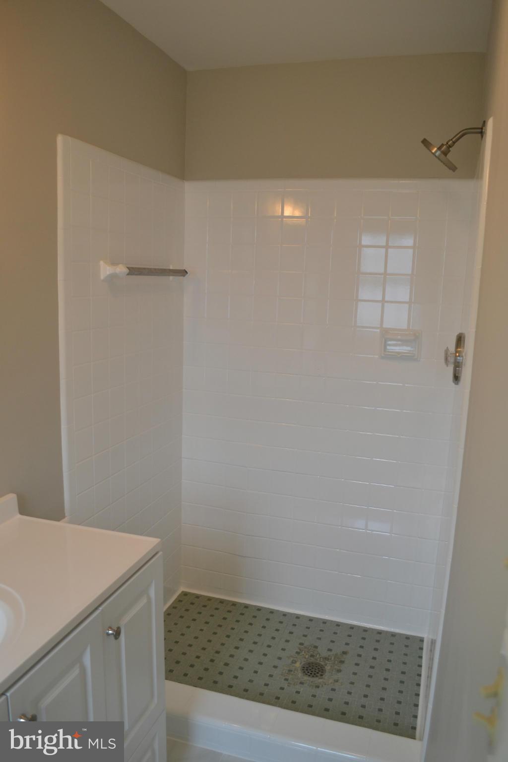 1021 Green Acre Road Baltimore, MD 21286 - Photo 22 of 30 Bath (Master)