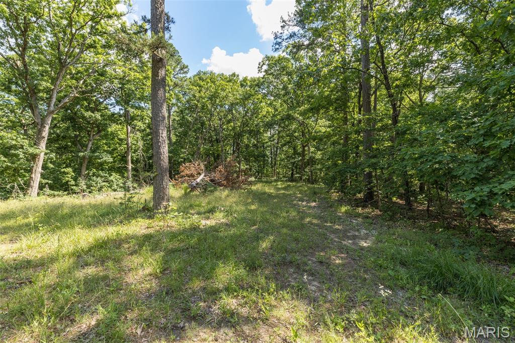 10130 Fish Hook Road Potosi, MO 63664 - Photo 11 of 29