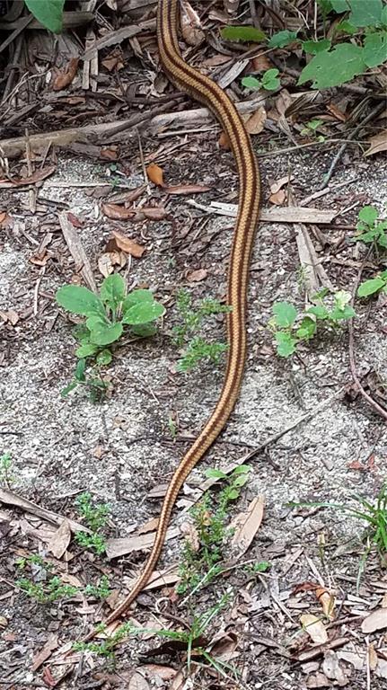 1798 Hideaway Lane Edgewater, FL 32132 - Photo 80 of 99