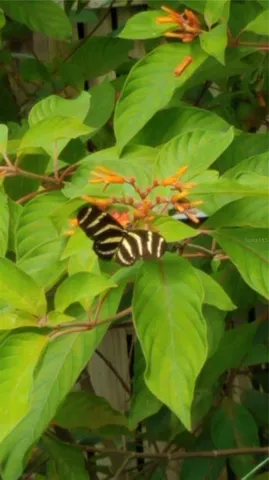 $650,000 | 1798 Hideaway Lane, Edgewater, FL 32132