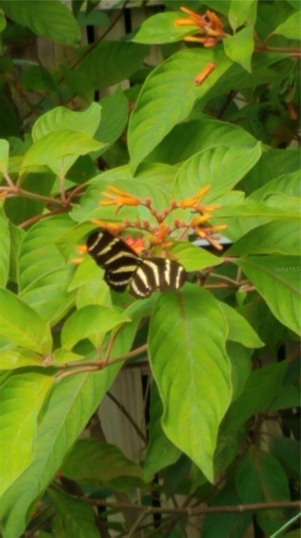 1798 Hideaway Lane Edgewater, FL 32132 - Photo 82 of 99