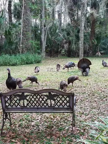 $650,000 | 1798 Hideaway Lane, Edgewater, FL 32132