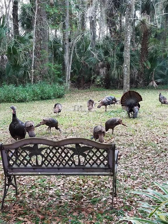 1798 Hideaway Lane Edgewater, FL 32132 - Photo 83 of 99